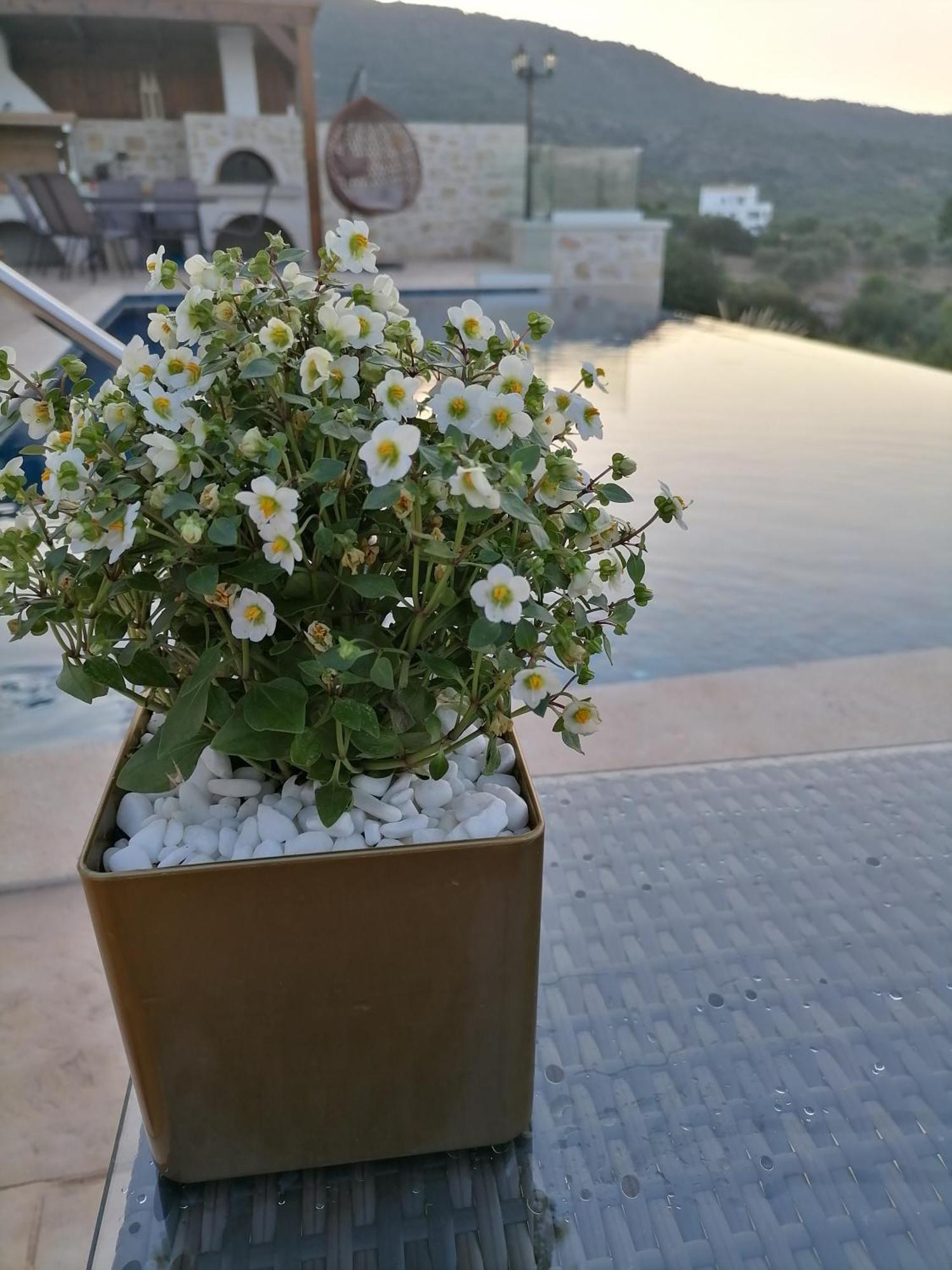 Villa Halepouri Chania  Luaran gambar